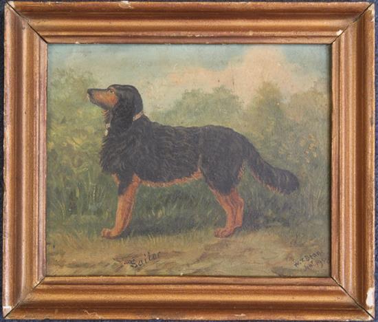 W T Beane (c.1900) Study of an Gordon Setter Sailor, 6.25 x 7.5in.